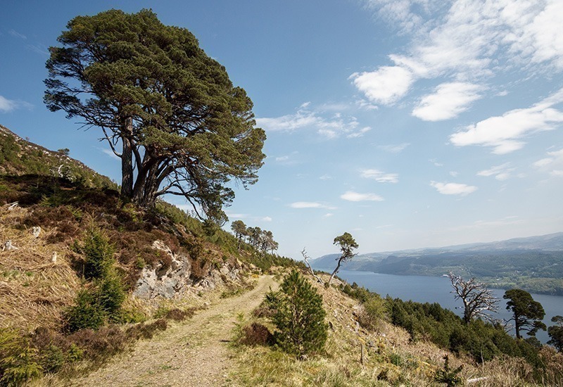 Great Glen Way