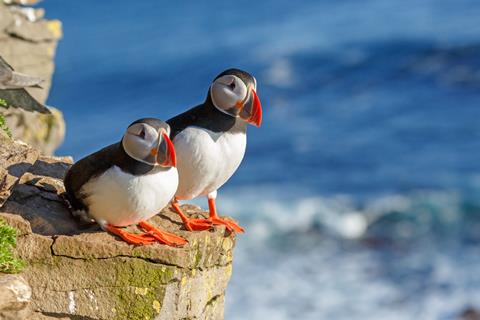 15 dg cruise IJsland Noorwegen en Schotland